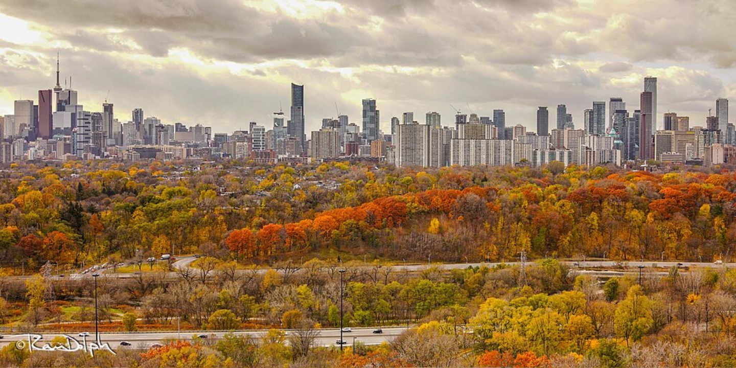 featured slider photo.jpg